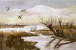 Pastel eendenkooi van mevr C. van Lent-Turnhout